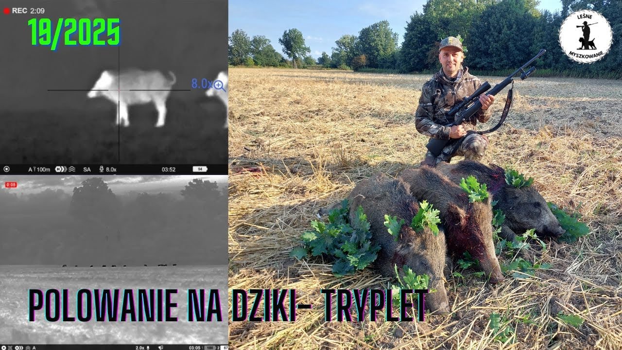 LEŚNE MYSZKOWANIE- 19/2025 Polowanie na dziki- TRYPLET