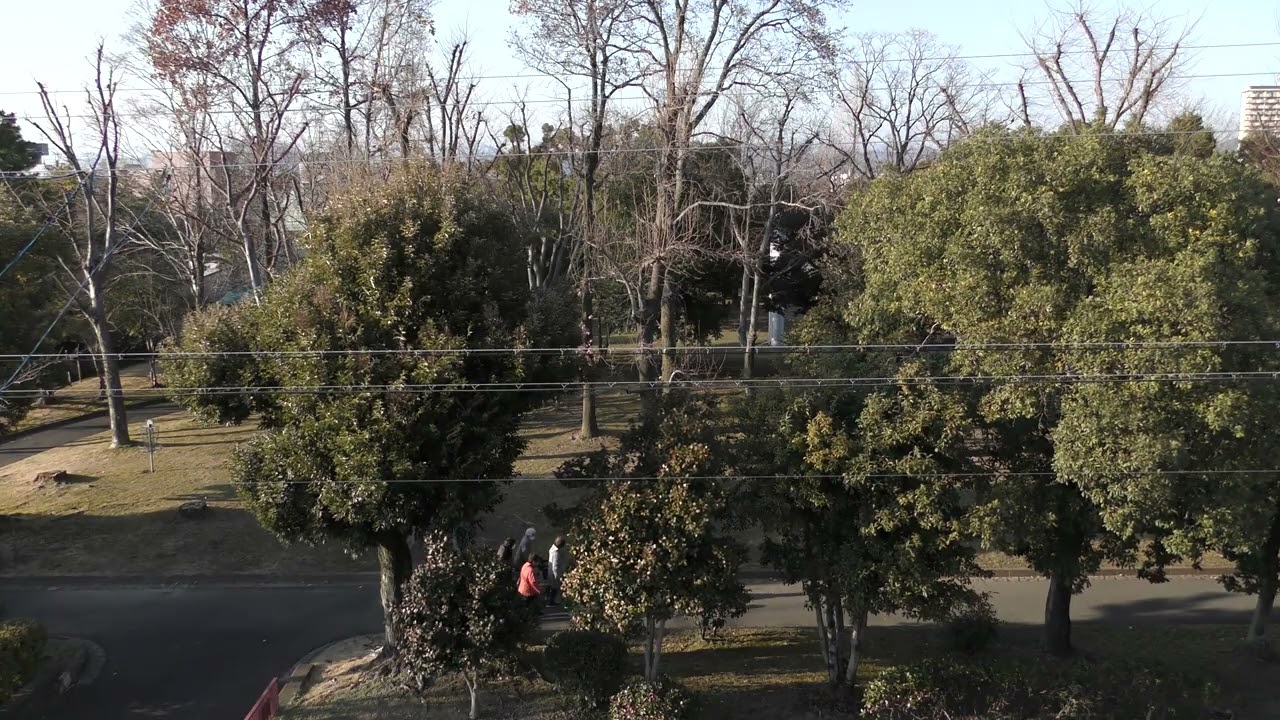 2026/2/13　本荘公園　岐阜市吹上町2.3丁目､寿町2.3丁目､早苗町2.3丁目