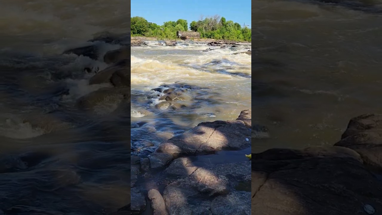 chattahoochee river #amsr #river #riversounds #rapids #bird #heronbird #water #fun #2025