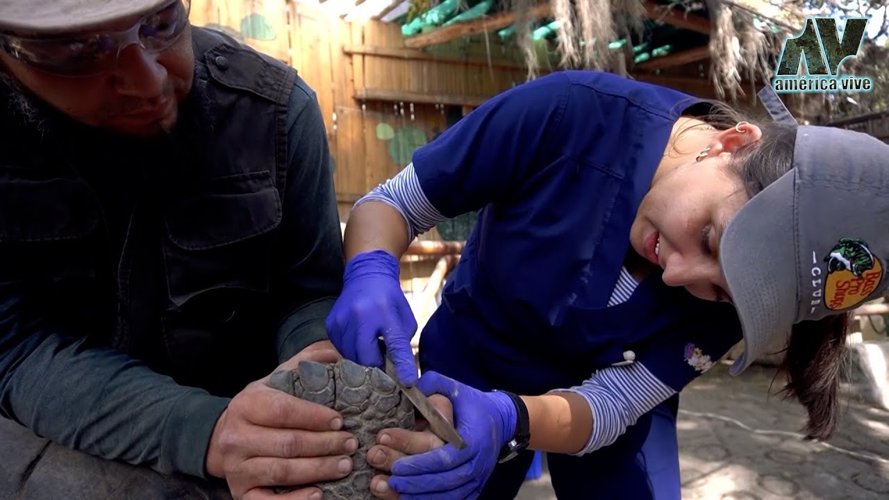 Voluntariado Ambiental, en el zoológico de Guayllabamba