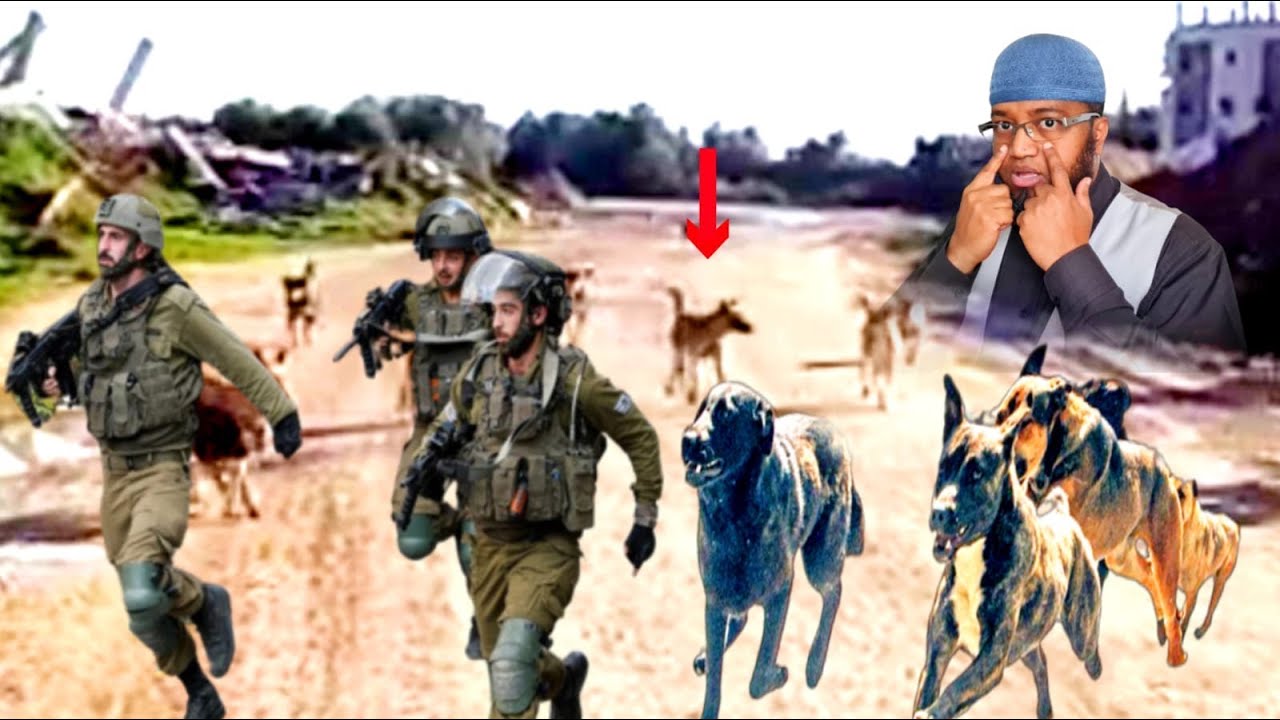 TOOS U DAAWO MUCJISADA EEYIHII OO CEYRSANAAYA CIIDANKA ISRAIL & IMAARAAT OO TAAGAN TAFTEY KA BANANKA