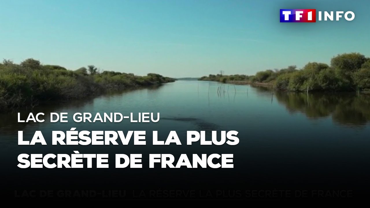 Lac de Grand-Lieu : la réserve la plus secrète de France