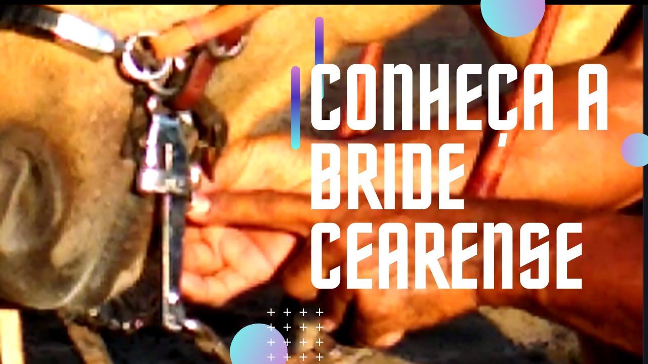 COMO USAR A BRIDE CEARENSE PORTAL ALTO