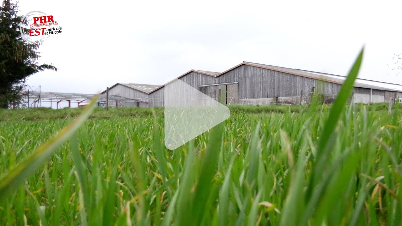 Gestion des pâturages (1/3) : Structurer sa ferme, l'exemple du GAEC du Langfeld