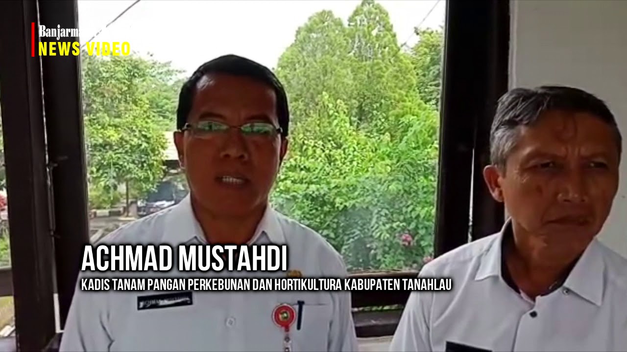 Rumah Anggrek Tanahlaut Miliki Hampir 2000 Jenis Anggrek