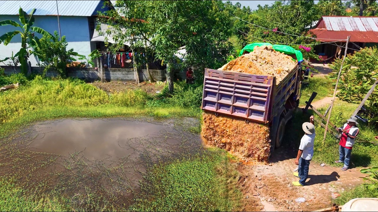 Be Watchful Started New Project!Dump Truck Filling Land Delete Field Expert Dozer D21P Pushing Soil 