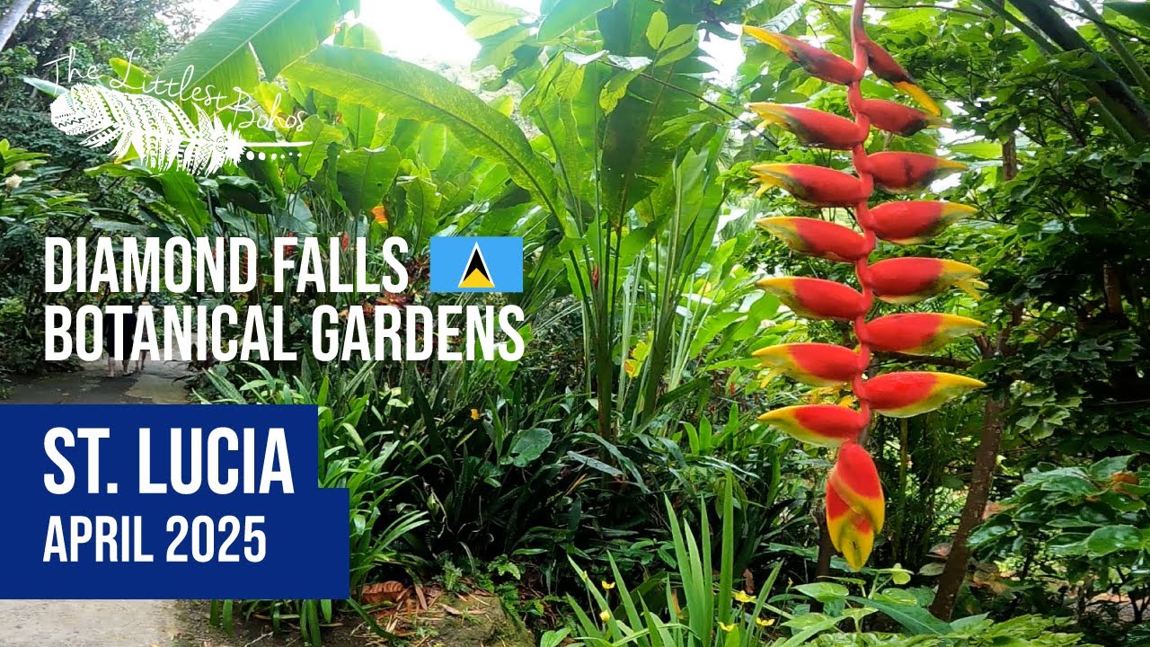 Diamond Falls Botanical Gardens, Soufriere, St. Lucia 2025
