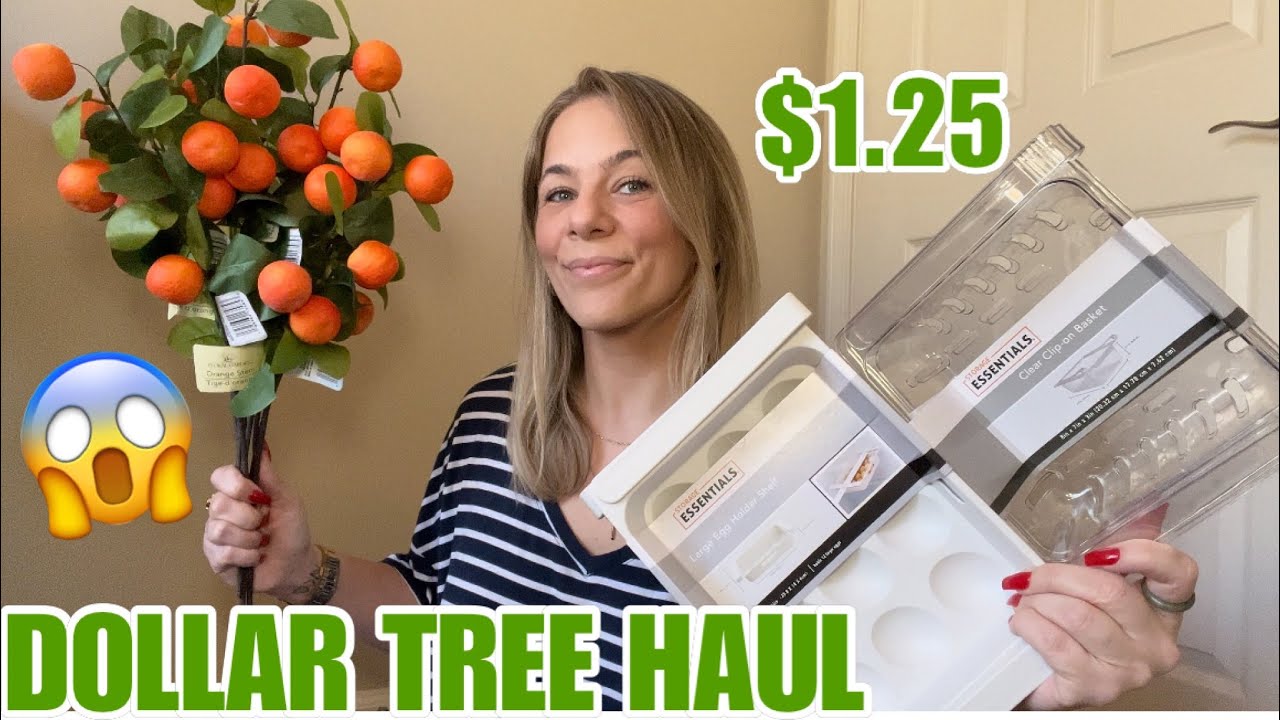 DOLLAR TREE HAUL | NEW | BRAND NAME ITEMS | AMAZING FINDS