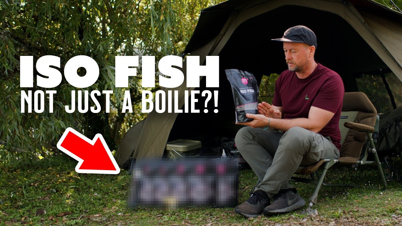 ISO FISH &mdash; не просто бойлы! Подробно о приманках для ловли карпа | Основные приманки