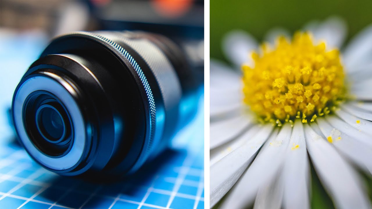 Canon 28mm EFM Macro lens // The Macro Lens With A Trick Up Its Sleeve!