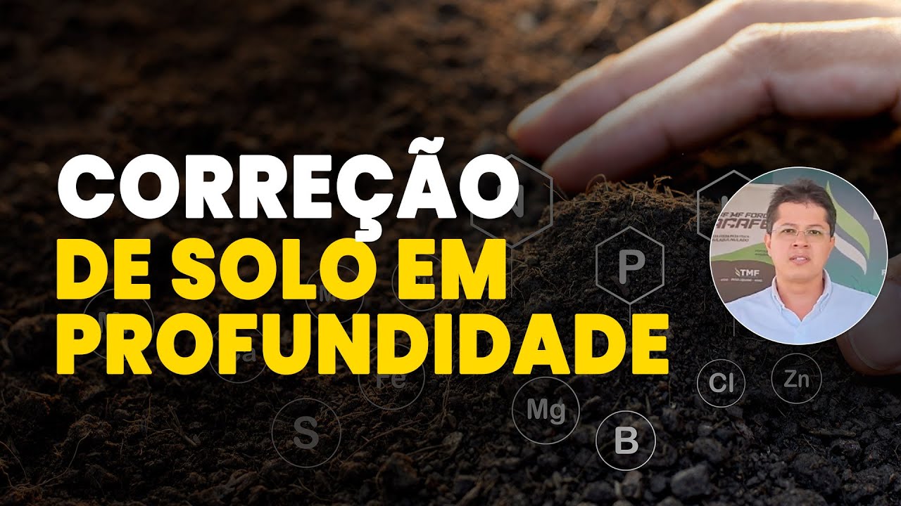 CORREÇÃO DO SOLO EM PROFUNDIDADE E EQUILÍBRIO DOS NUTRIENTES