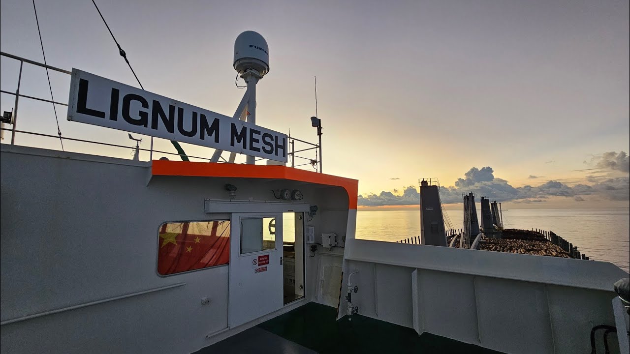 Three week journey to China by cargo ship 🇨🇳 🚢 | MV Lignum Mesh