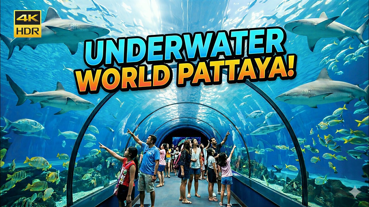 Underwater World Pattaya | Discover the Rich Variety of Marine life in Thailand Full Tour
