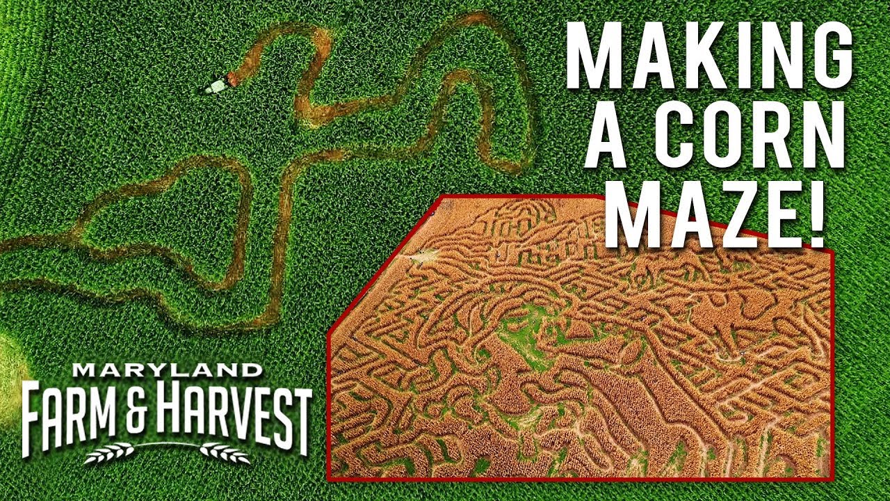 How to Make a Corn Maze! | Maryland Farm & Harvest