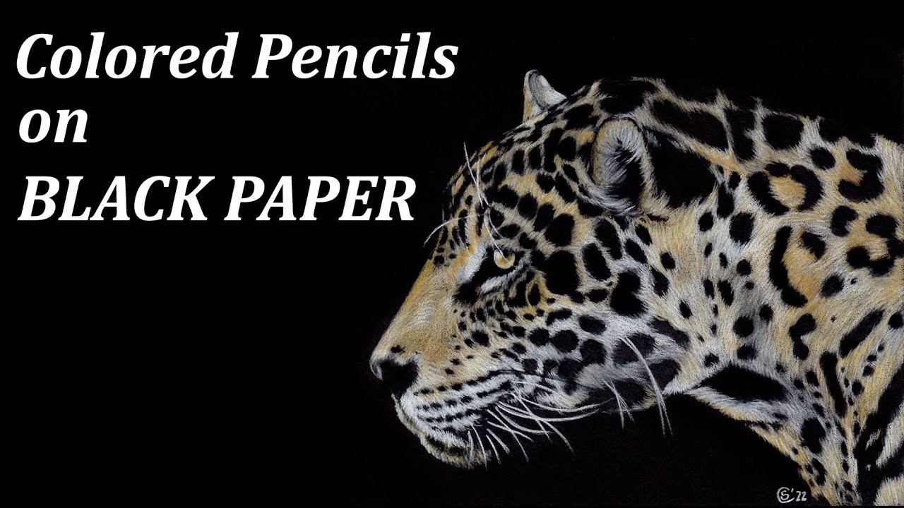 Animal portrait with PRISMACOLOR PREMIER Colored pencils on BLACK PAPER // Jaguar drawing demo