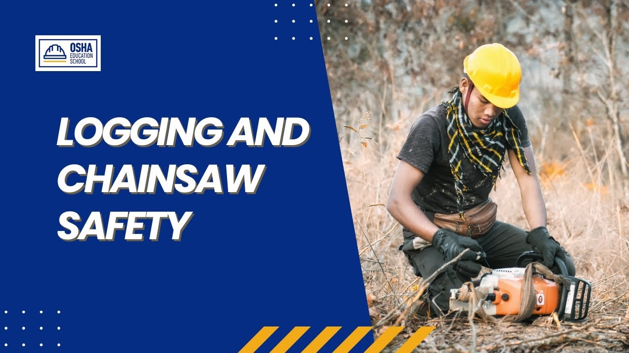 Logging & Chainsaw Safety Training | Forestry Industry |  Workplace Safety Certification