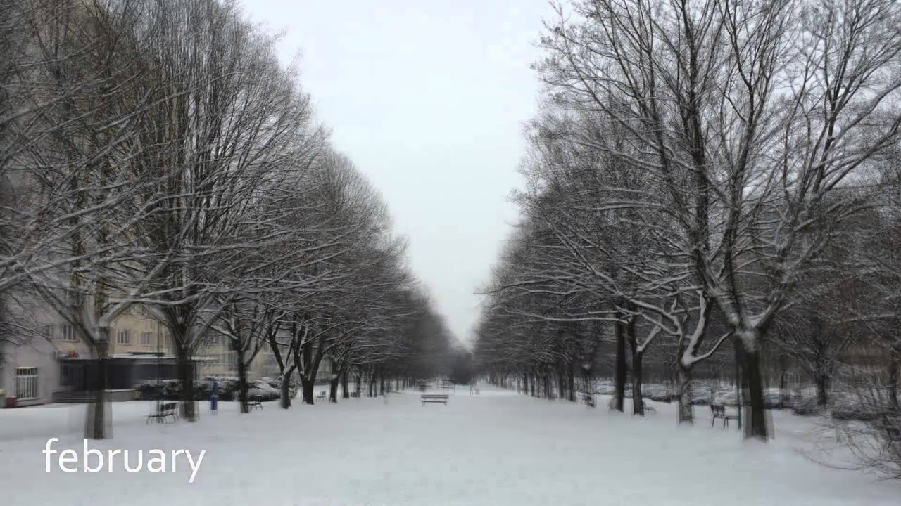 One year timelapse