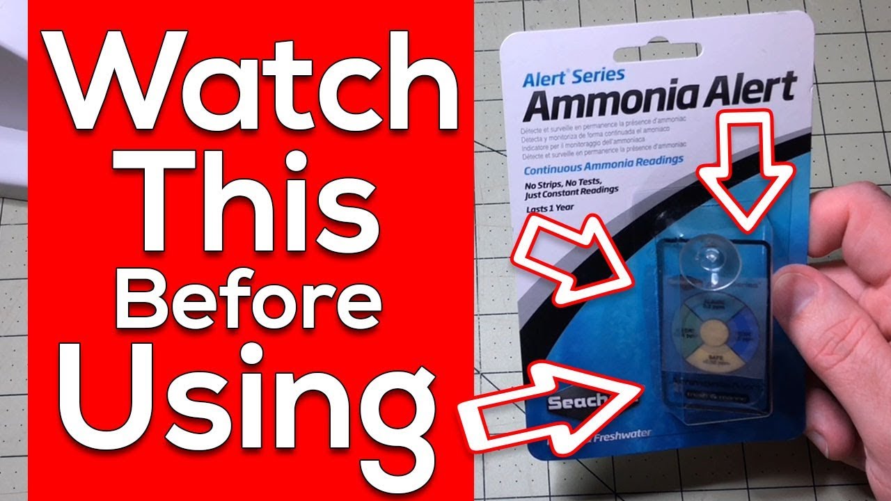 Seachem Ammonia Alert Facts - Ammonia Testing Made Easy [MUST SEE]