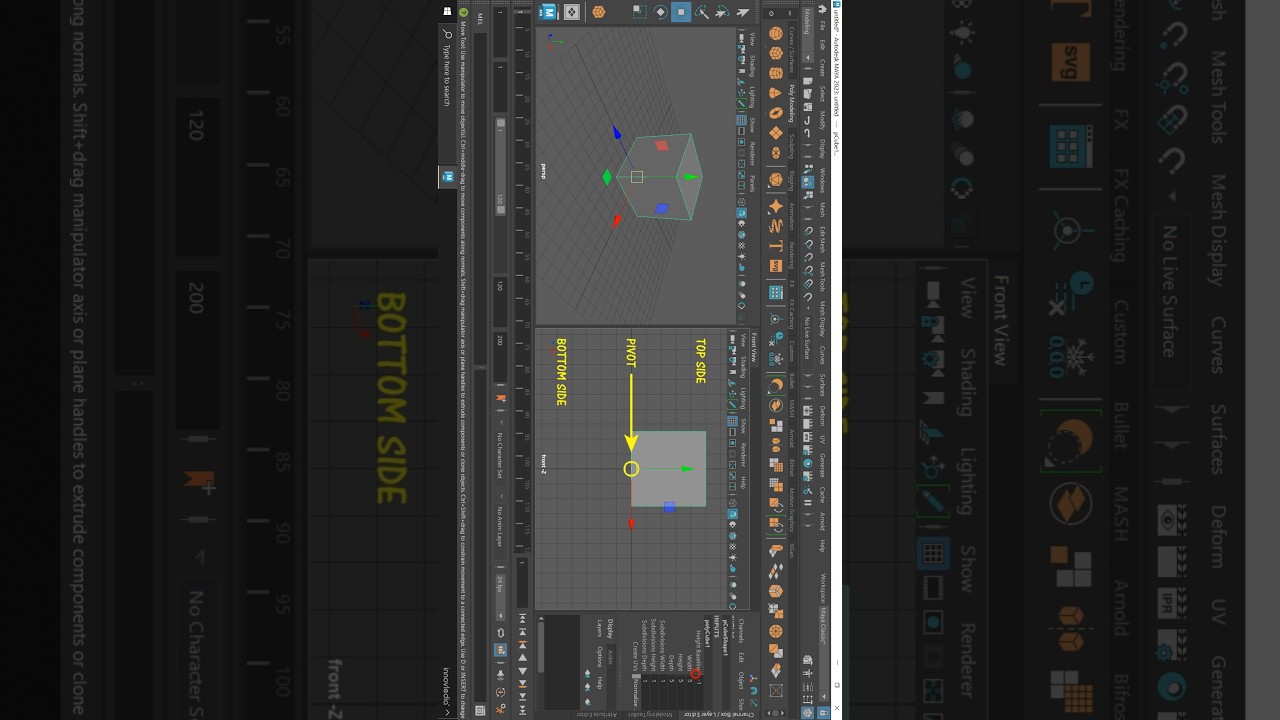 Maya Course on our Channel &bull; Height Baseline in Maya