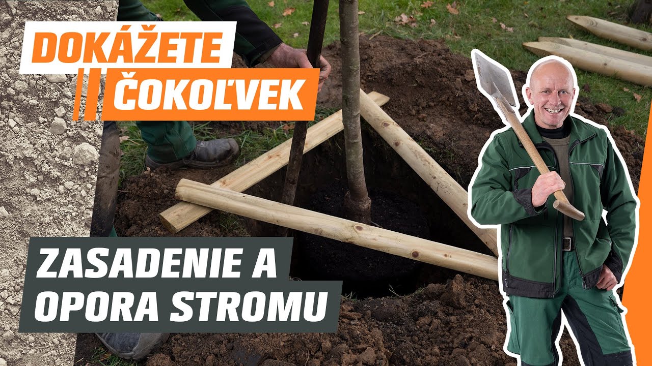 Ako na sadenie ovocn&yacute;ch stromov v z&aacute;hrade?