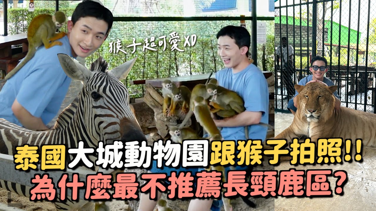 泰國大城動物園！跟猴子拍照超值得～長頸鹿還是北碧動物園最好看！車程直接少了一半？？