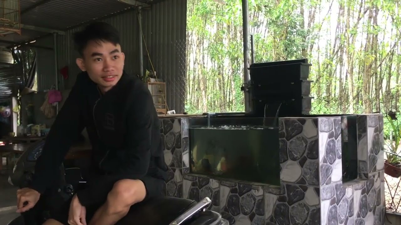 Khoảnh Khắc Nhẹ Nhàng Cuối Ngày