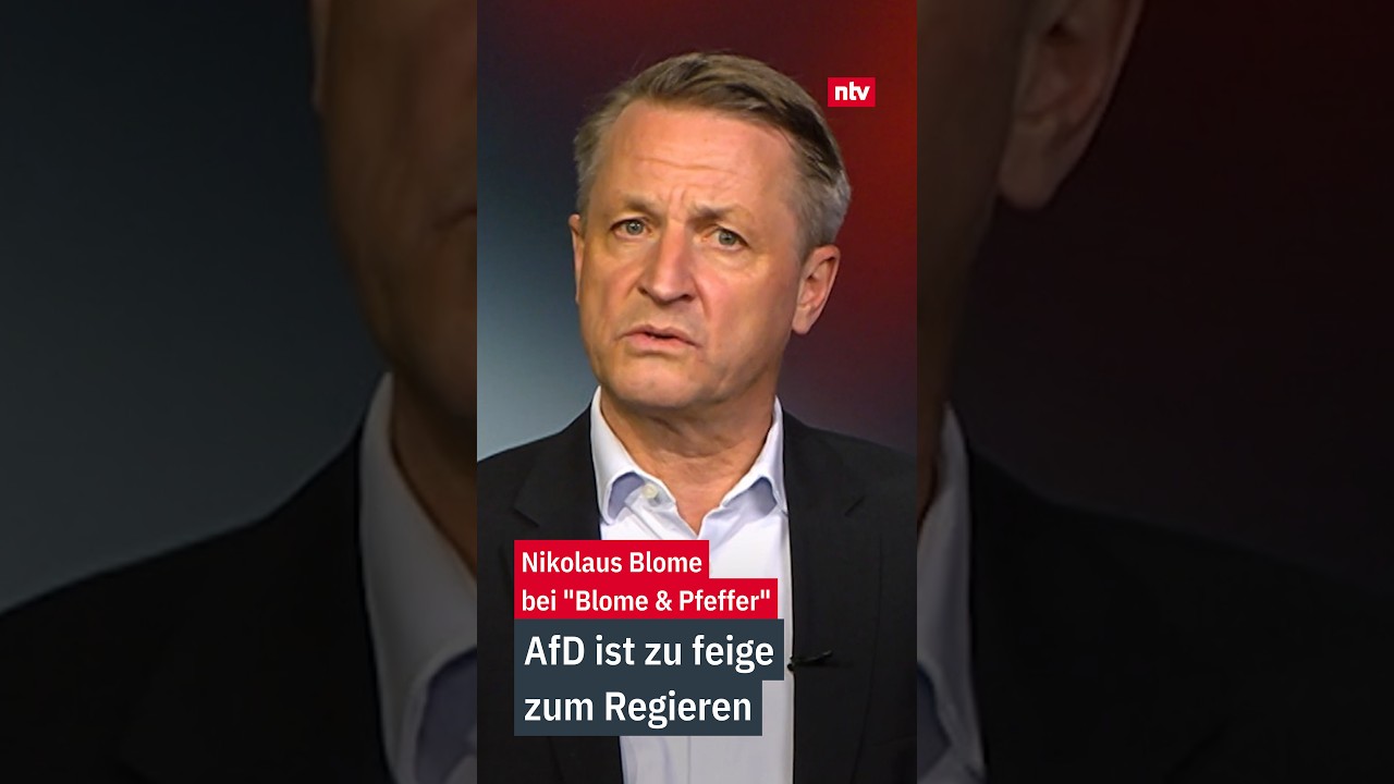 AfD ist zu feige zum Regieren - 