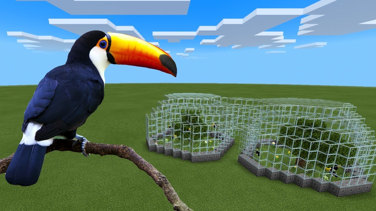 How To Make a TOUCAN FARM in Minecraft PE