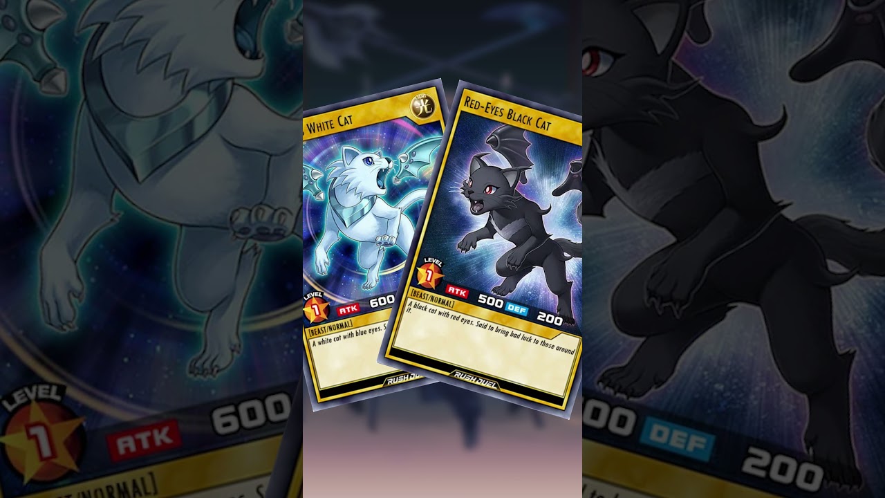 WHAT ARE THESE CATS DOING IN RUSH DUEL?? #yugioh #rushduel #shorts