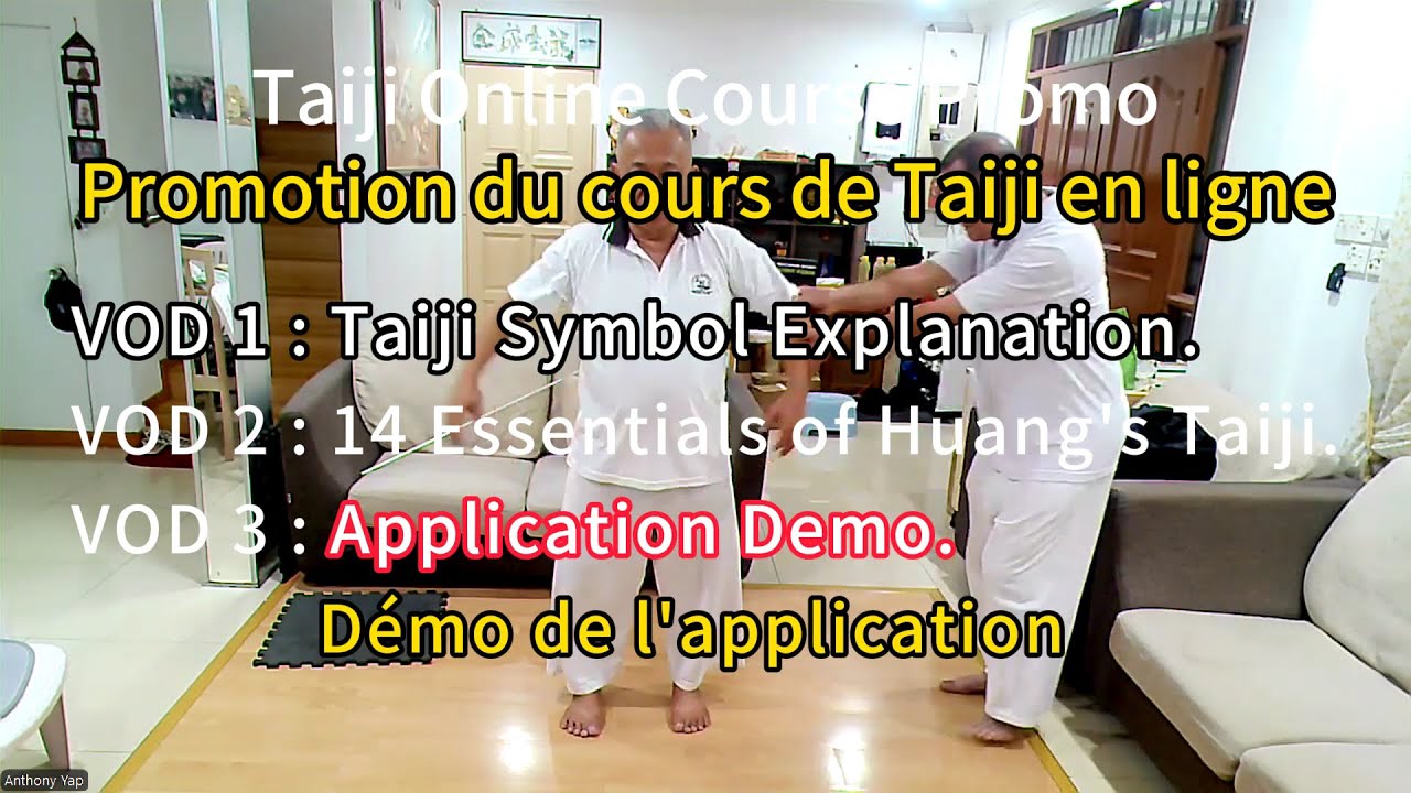 Application Demonstration Video
