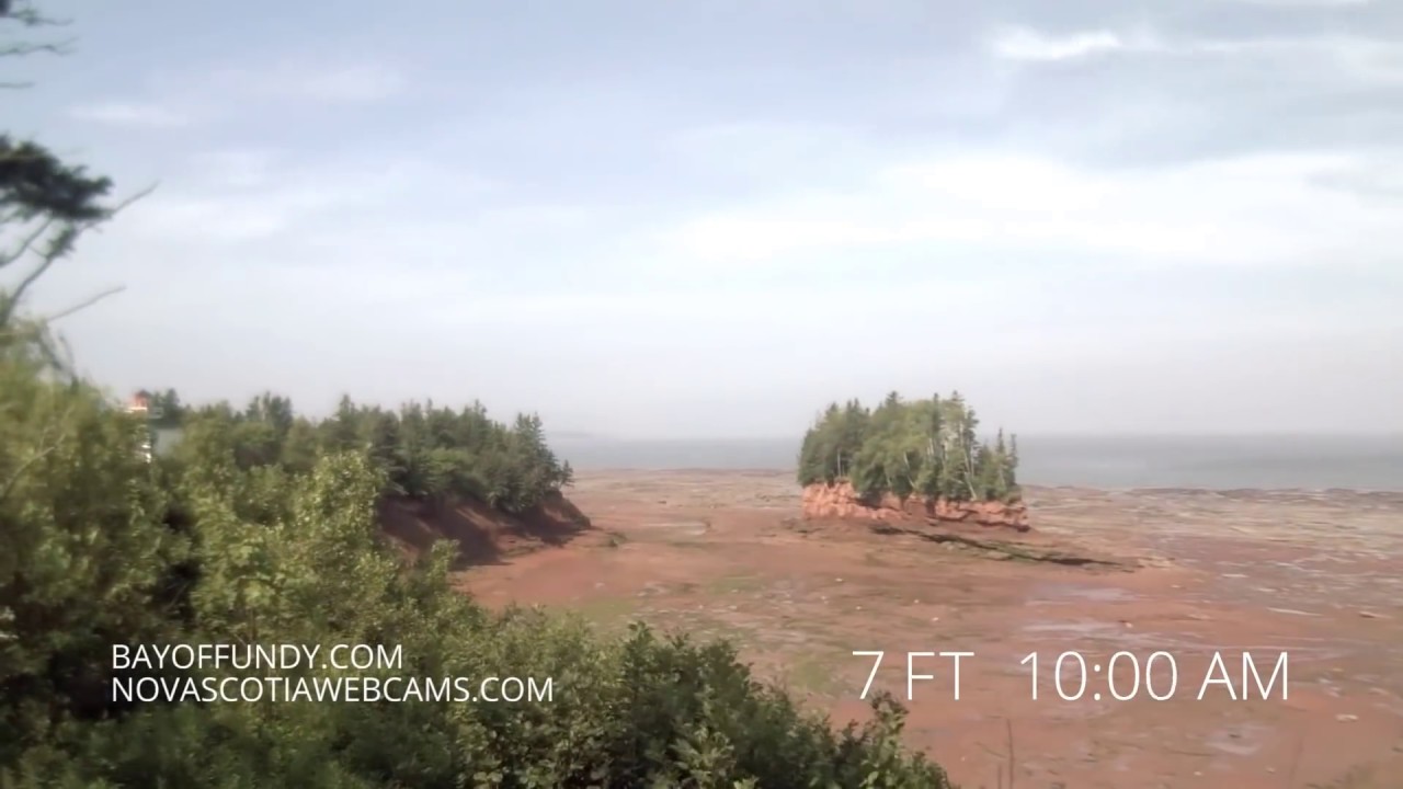 50ft tides in Burntcoat Head Park, Nova Scotia