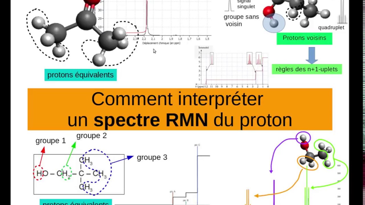 Comment interpréter un spectre RMN du proton ?