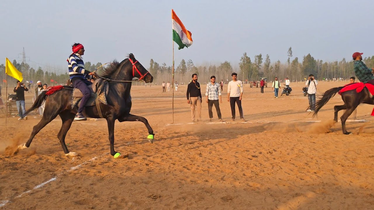 Muzaffarnagar समर्थी Riwal Chaal Compitition🏆🐎😱