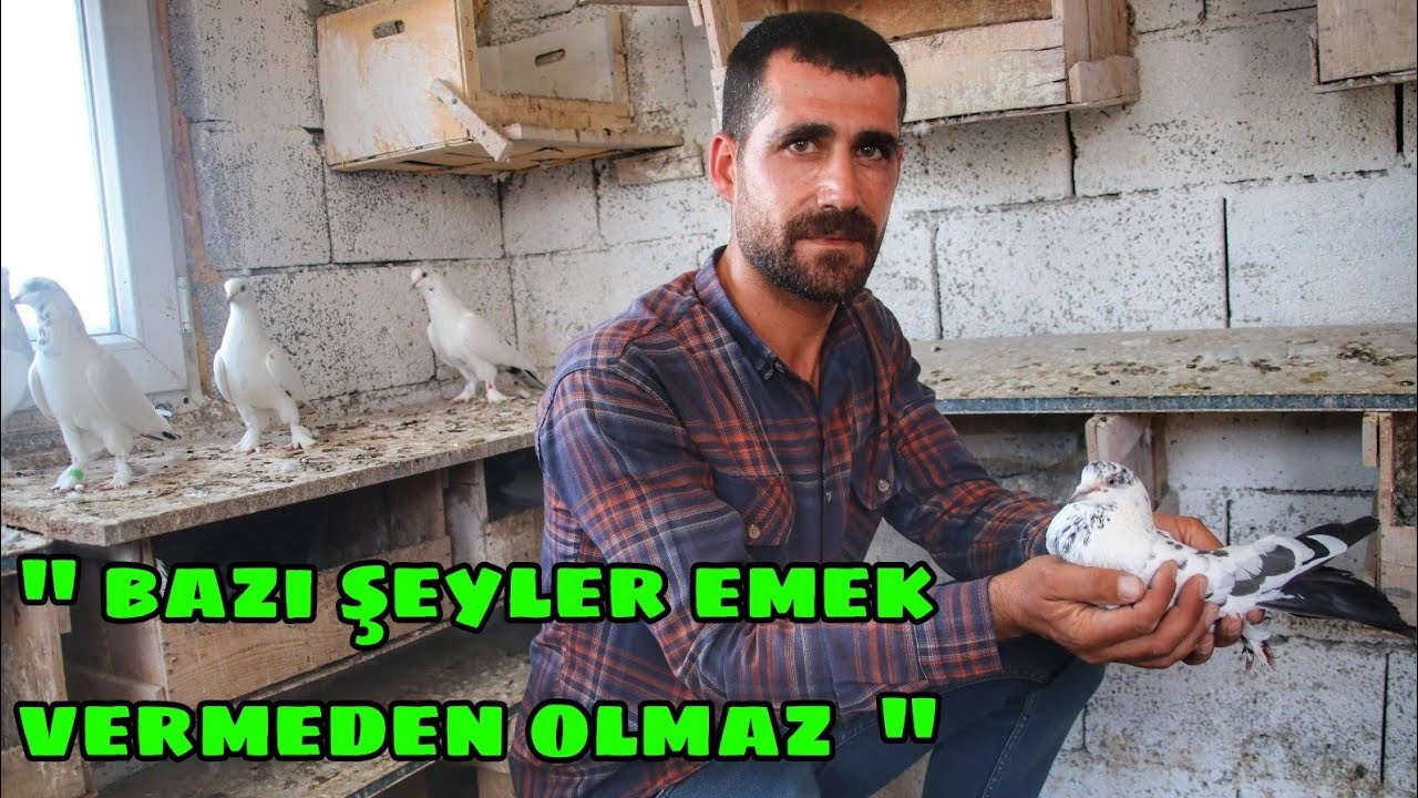 "BU SOYUN DEĞERİ BİZDE BİR BAŞKADIR " MUSTAFA SAKÇI VE ENES SAKÇI ÜSTATLARIMA MİSAFİR OLDUM!