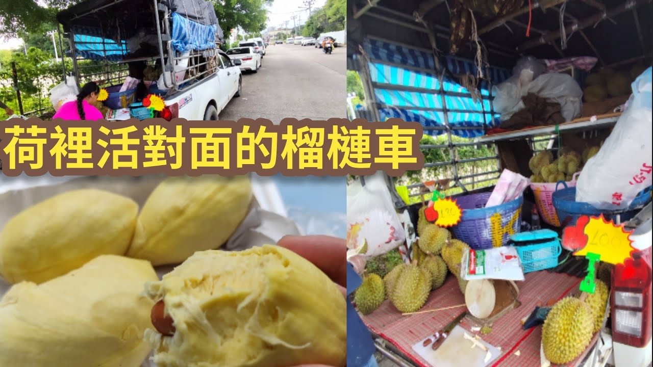 [泰國芭堤雅]荷里活對面的榴槤車😱😱四嚿大榴槤肉三十幾蚊港幣😋😋