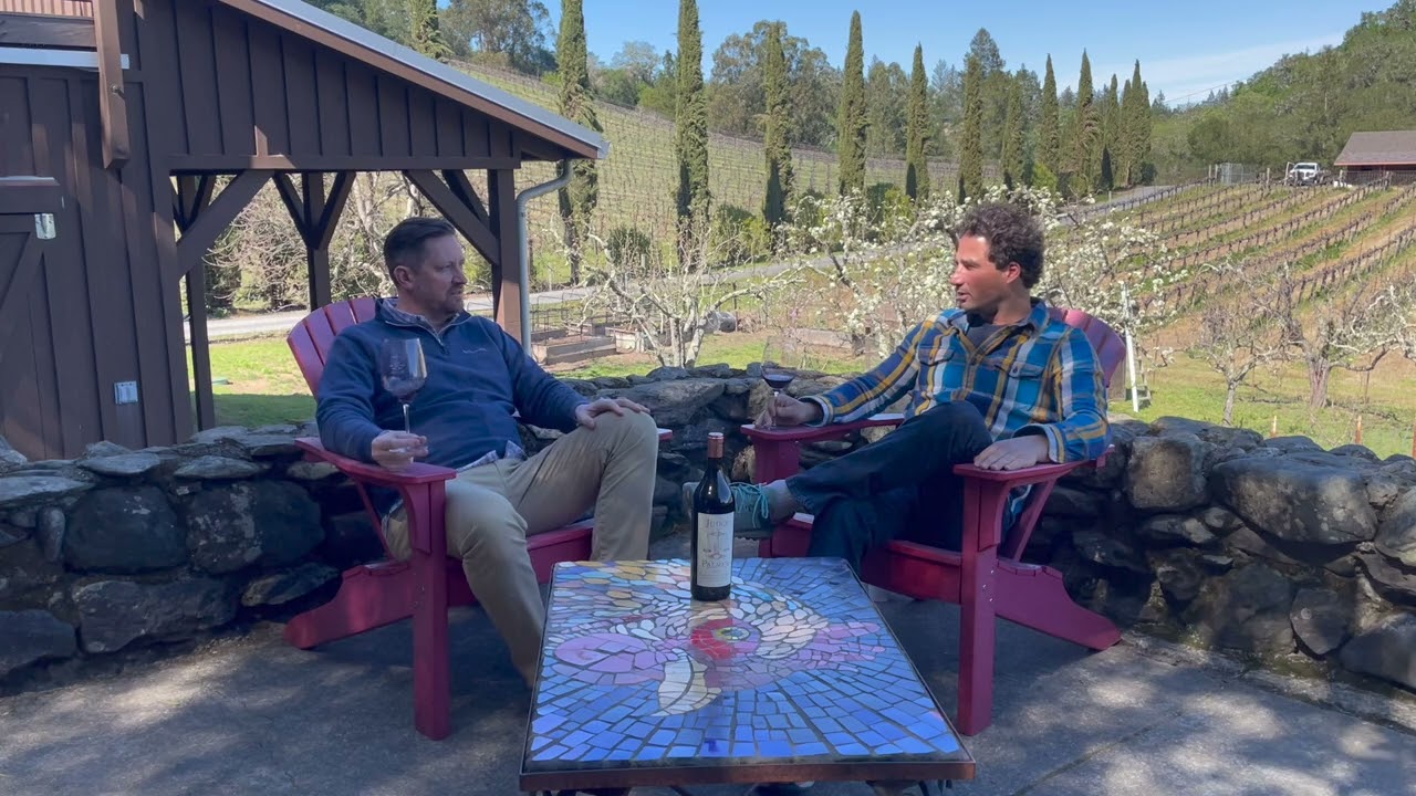 Judge Palmer 2018 Cabernet Sauvignon - Ellis Alden Vineyard