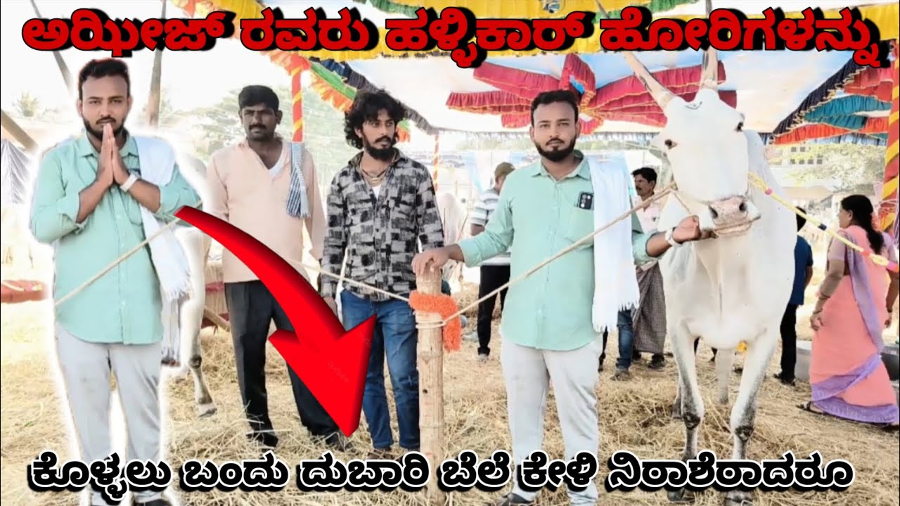 ಅಝೀಜ್ ರವರು🐂😔🙏ನಾಟಿ ಹಸುಗೆ ಇನ್ಶೂರೆನ್ಸ್ ಬೇಕು🙏 ಎಂದು ಕೇಳಿದರೆ 🙏