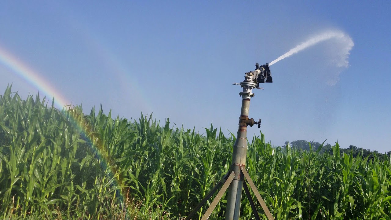 Komet twin 160 sprinkler gun watering a cornfield