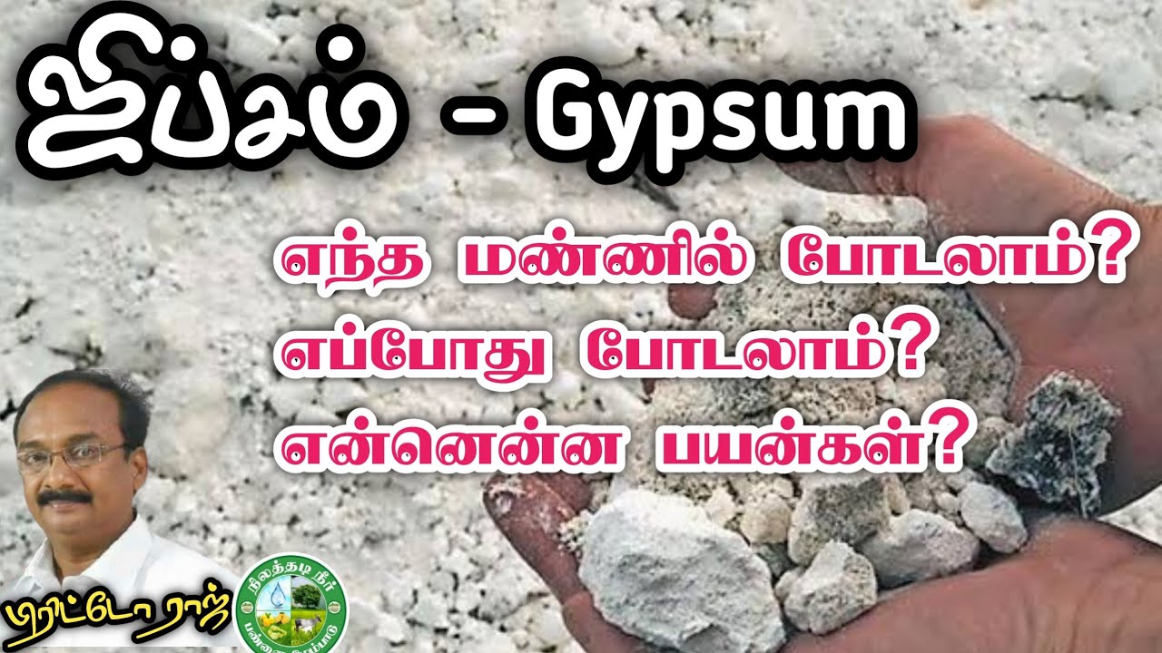 ஜிப்சம் பயன்கள் என்ன? எப்போது பயன்படுத்த வேண்டும்? Brittoraj 9944450552