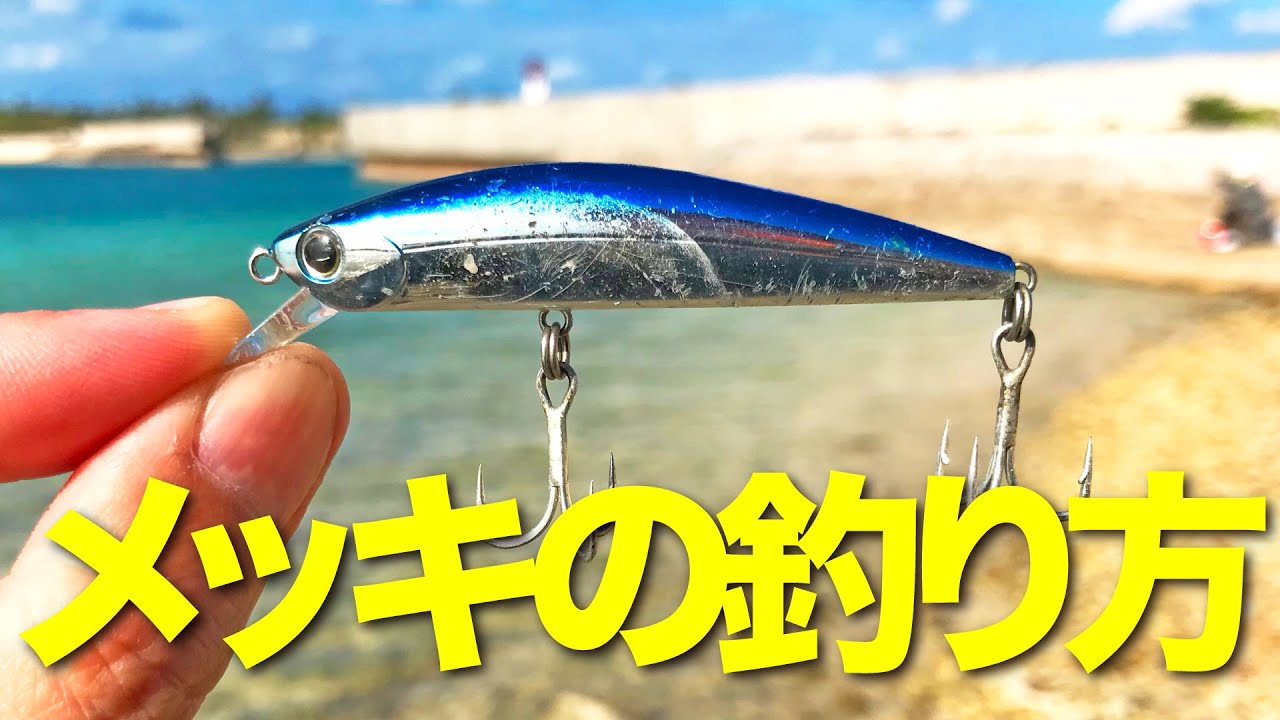 アホでも釣れるメッキの釣り方…【初心者】