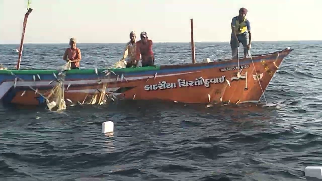 Veraval would you like follow subscribe telling video share karo video follow karna mat bhulna