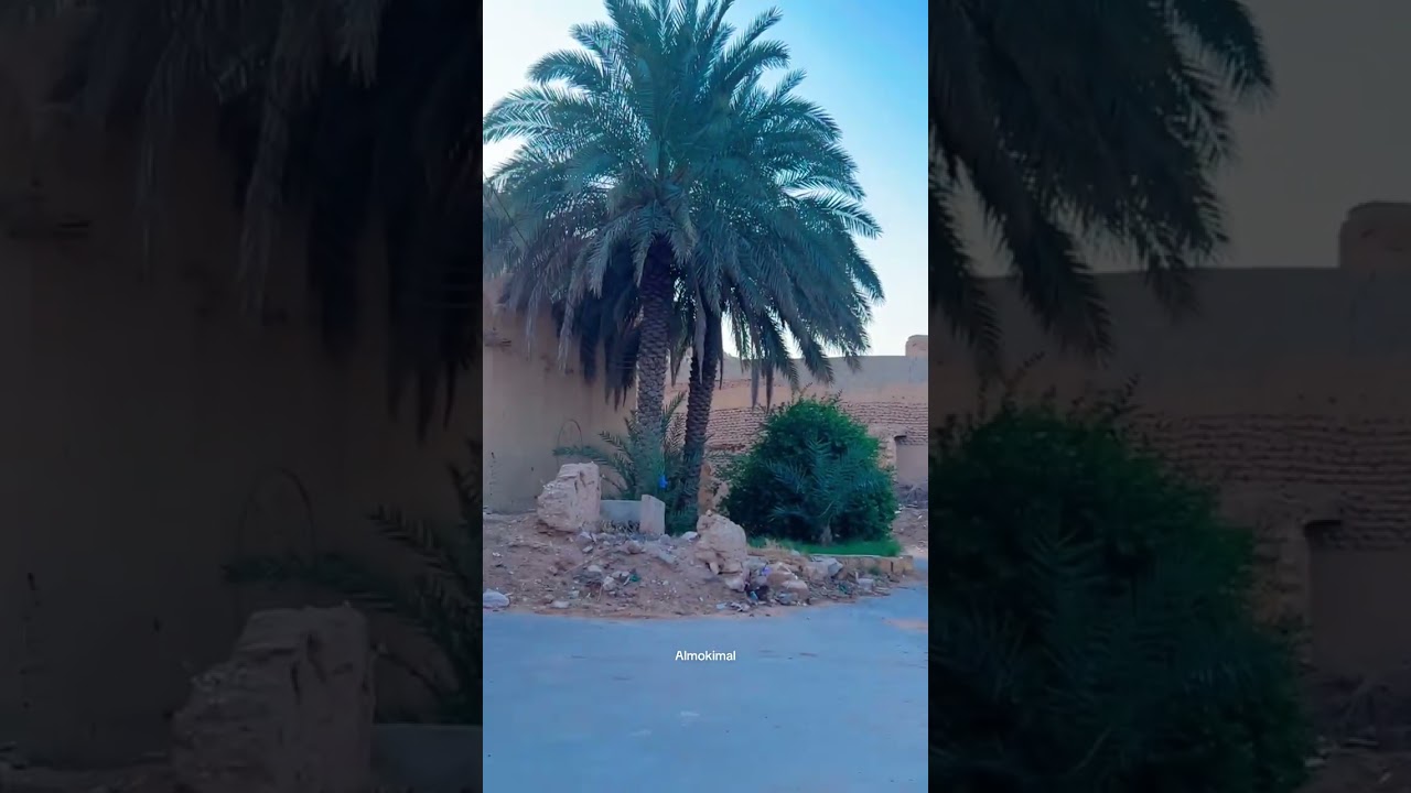 صور من الماضي (٢ فبراير، ٢٠٢٦)