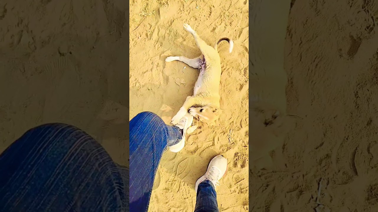 #funny