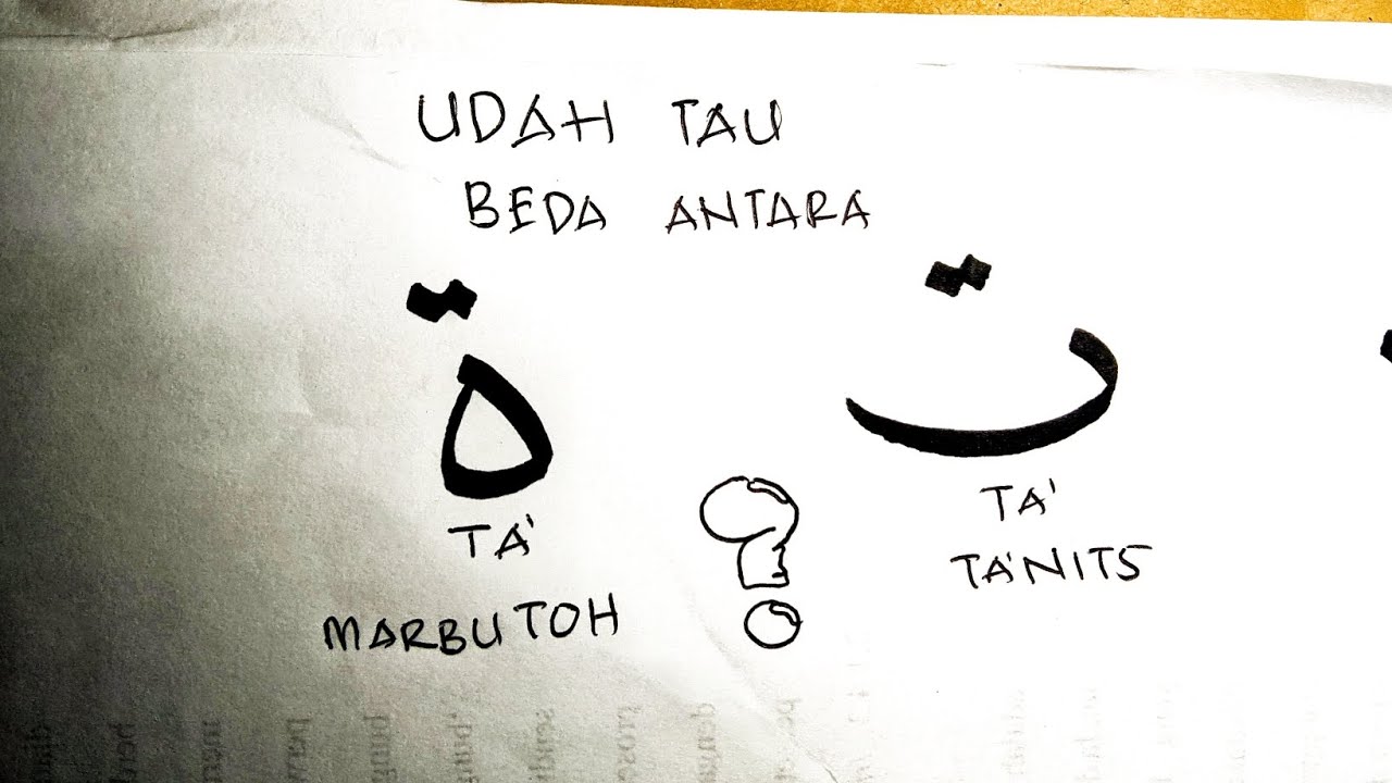 Qoidah Ta' Ta'nits dan Ta' Marbuthoh || Ada apa dibaliknya?