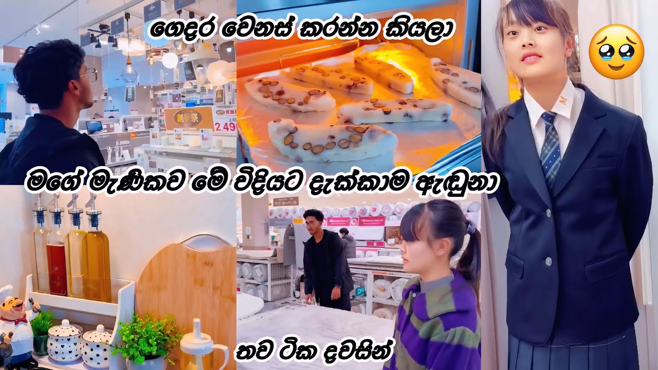 එයාව එහෙම දැක්කාම ඇස් බොඳ වුනා එක පාරම 🥹Life in japan 🇯🇵🇱🇰
