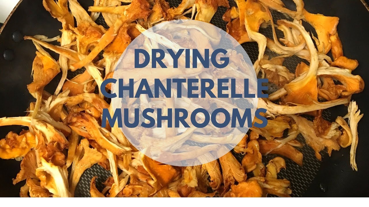 Drying Chanterelle Mushrooms For Longer-term Storage