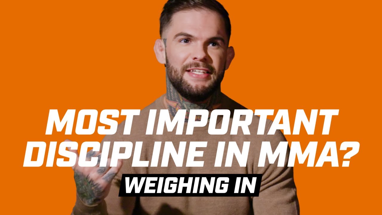 Weighing In - What Is The Most Important Discipline In MMA Today?