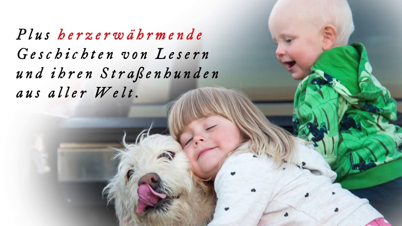 Arthur und seine Freunde. Neues vom Hund, der den Dschungel durchquerte, um ein Zuhause zu finden