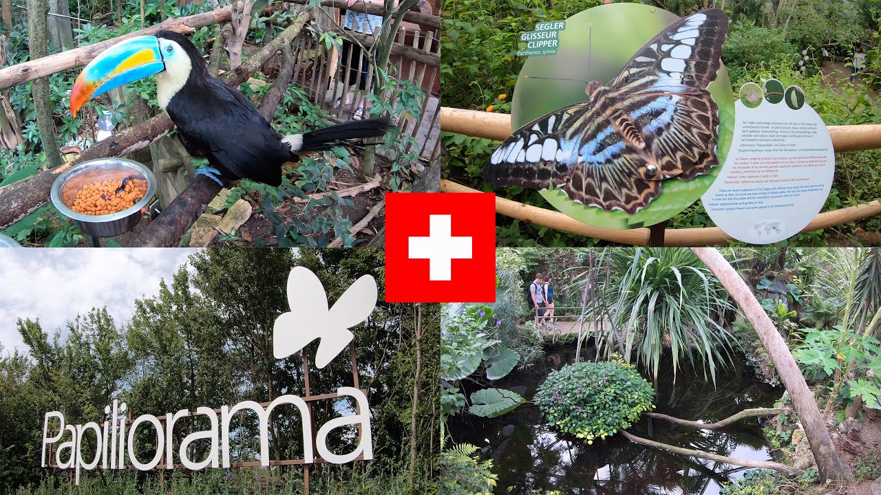 Papiliorama - Swiss Butterfly Garden and more