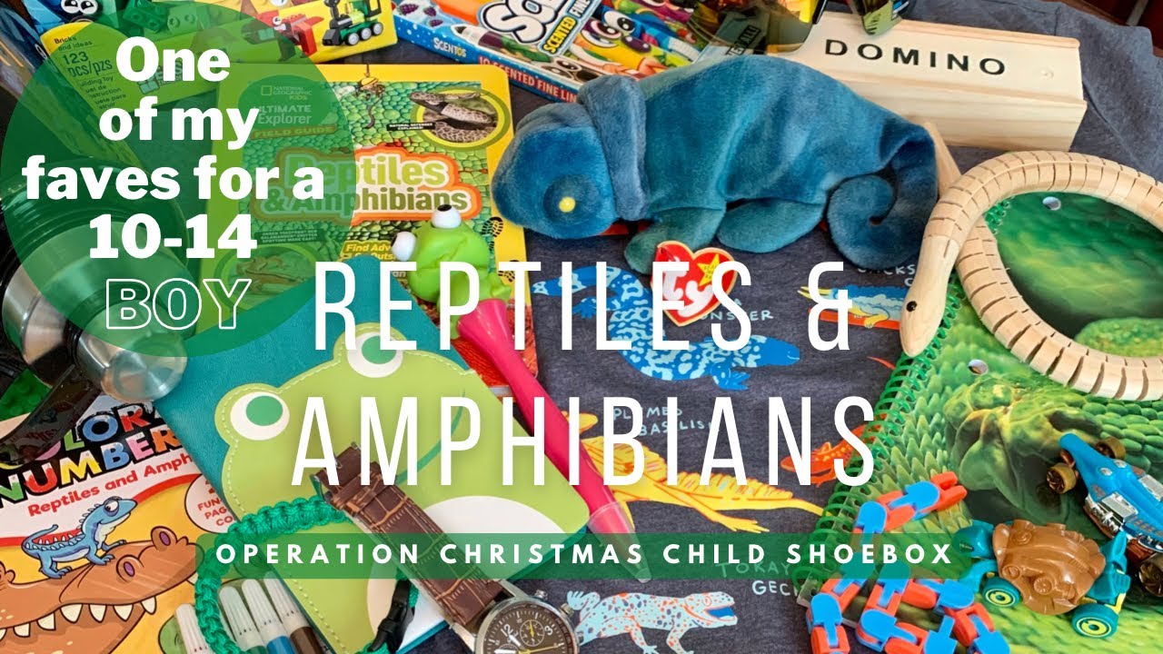 REPTILES & AMPHIBIANS🦎 10-14 BOY OCC SHOEBOX UNBOXING | Operation Christmas Child 2022